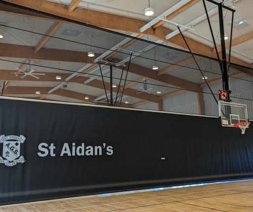 Stadia Curtain with graphic logo